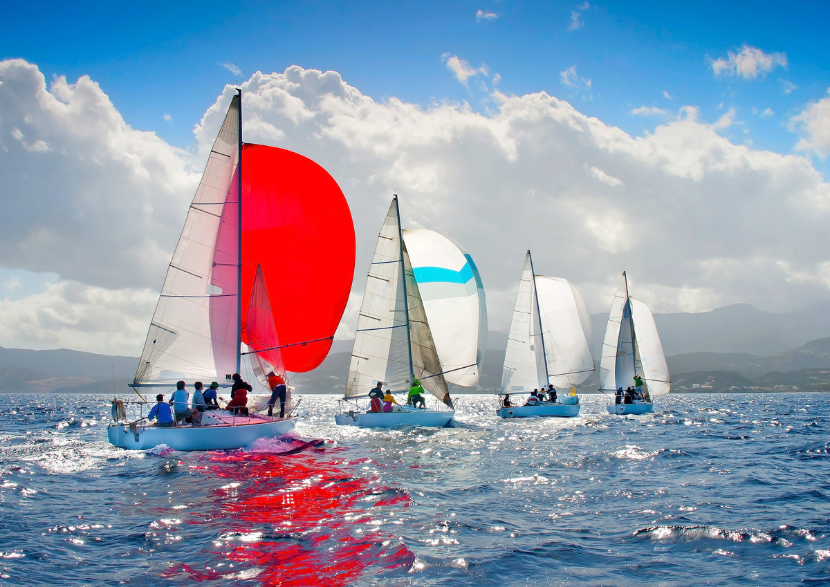 sailboats racing on a beautiful coastal harbor