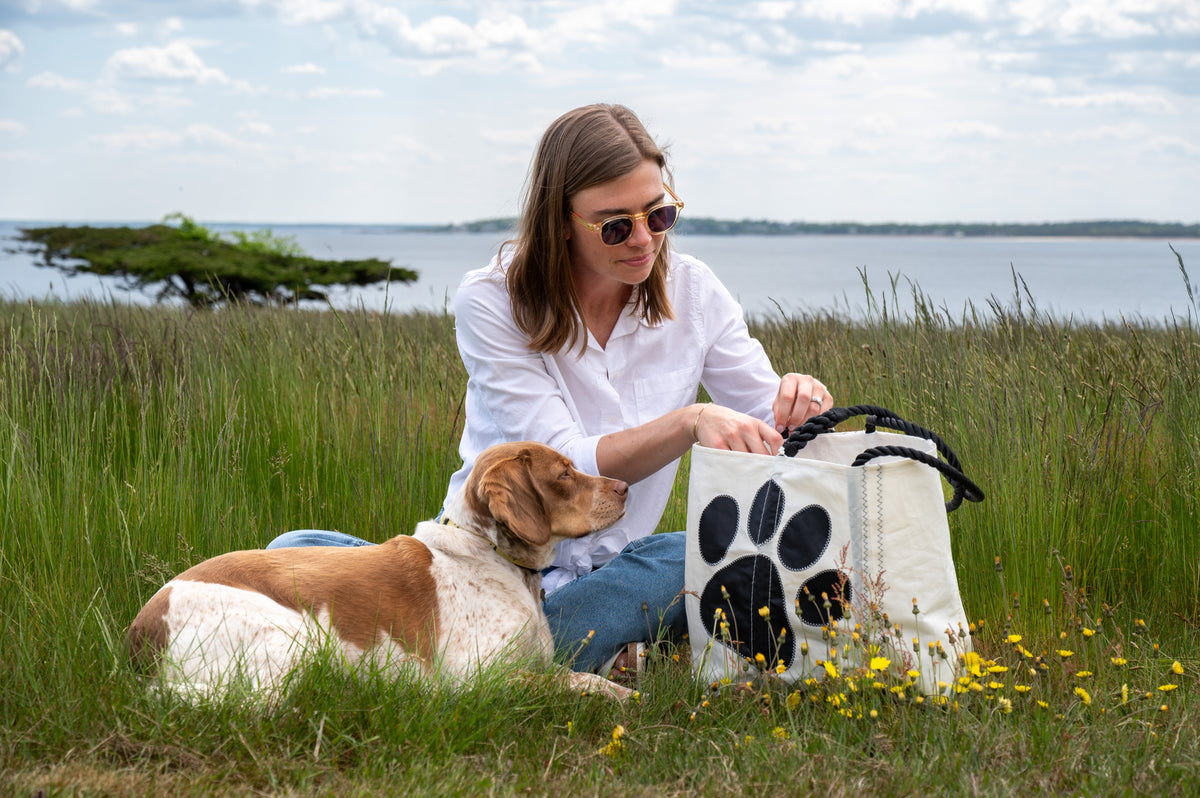 person on a dog walking excursion near coastal island, a picnic tote