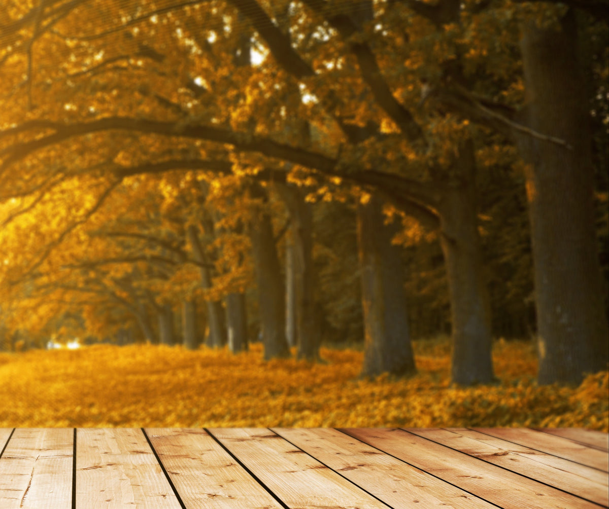 A wooden deck overlooking a forest in autumn with golden sunlight filtering through the trees.