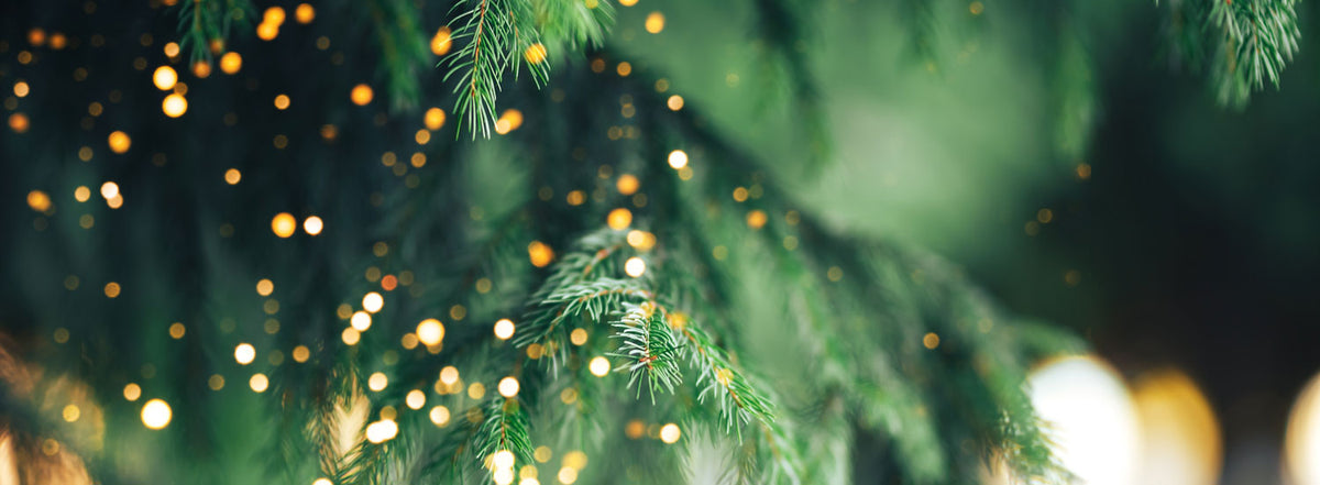 Guaranteed for Christmas Collection