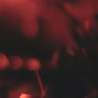 Sale Loft - SAVE 30%