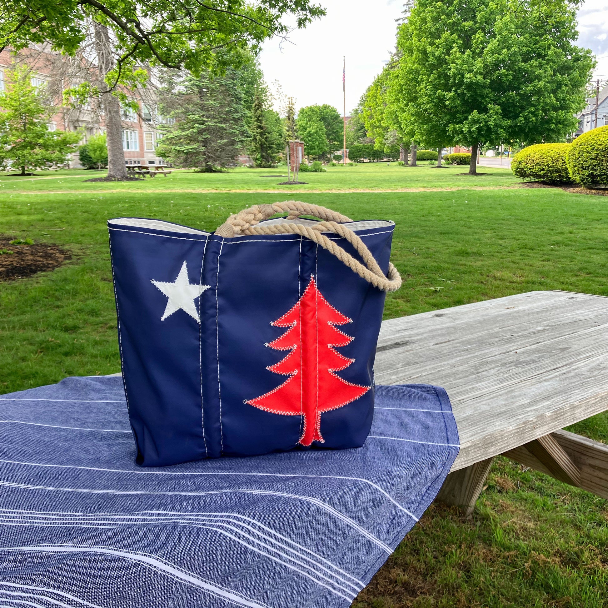 Blue bag with red tree design on a picnic table in a park