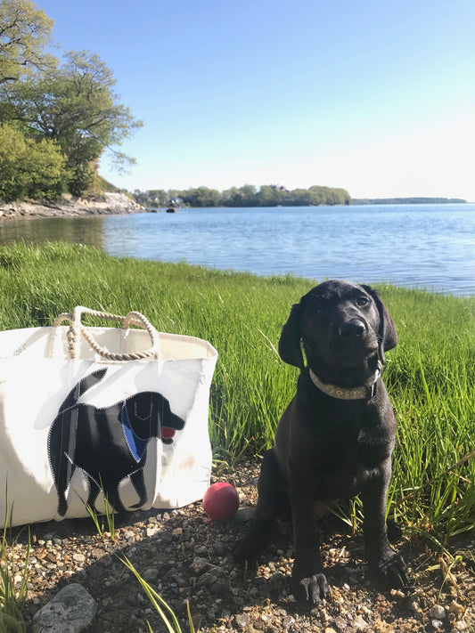 Black Lab Medium Tote