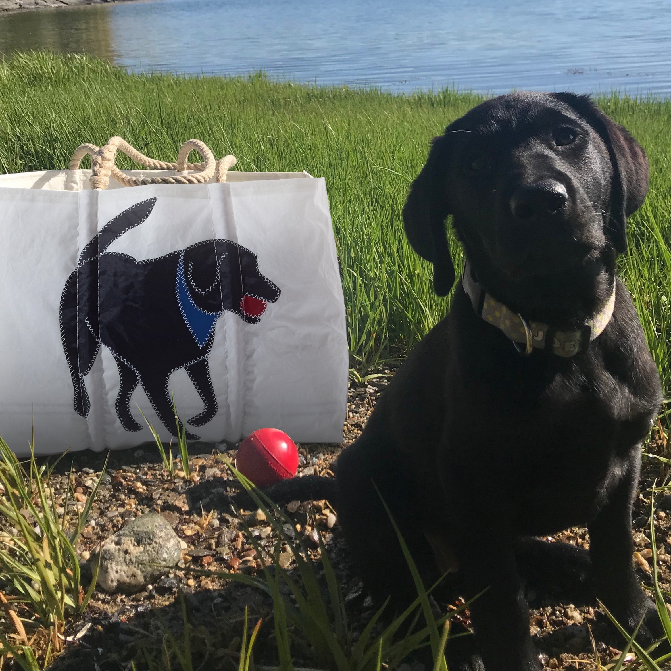 Black Lab Large Tote Bag | Gifts for Pet Lovers | Recycled Sail