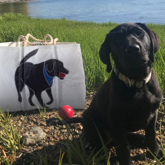 Black Lab Large Tote