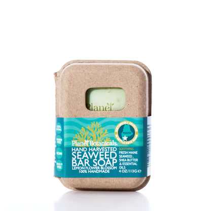 A Planet Botanicals Seaweed Bar Soap in a cardboard box with a label describing Maine seaweed, shea butter, and lemon flower blossom ingredients.