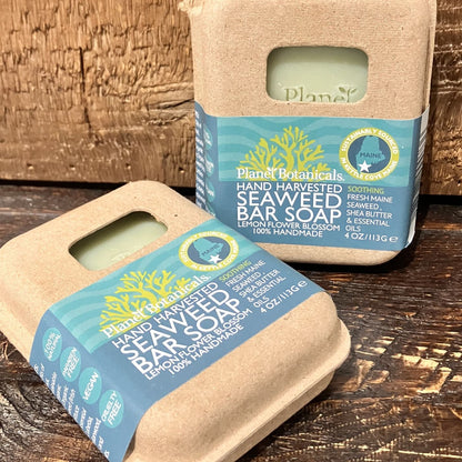 Two bars of Planet Botanicals Seaweed Bar Soap in light brown cardboard packaging with blue labels.