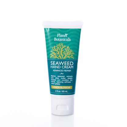 A 2 oz tube of Planet Botanicals Seaweed Hand Cream stands upright on a white background—this nourishing hand cream by Planet Botanicals features Maine seaweed skincare in the refreshing Lemon Blossom scent, leaving hands soft, hydrated, and infused with coastal freshness.
