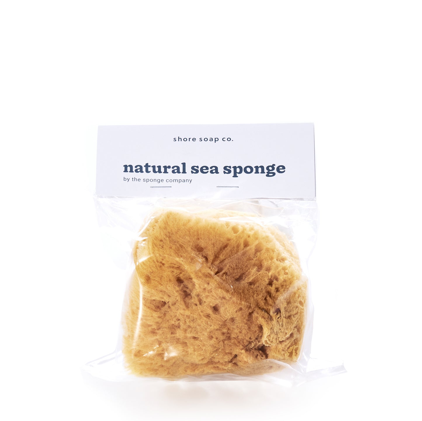 Natural Sea Sponge