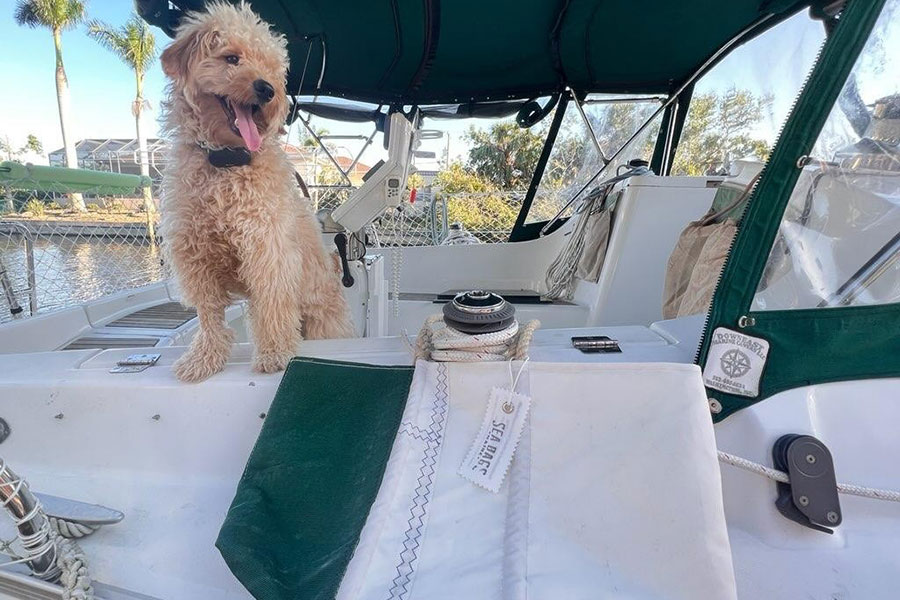 Gadbois dog Norman on sail boat with Sea Bags Tote