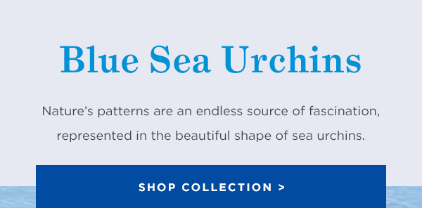 Fascinating Blue Sea Urchins - Shop the Collection