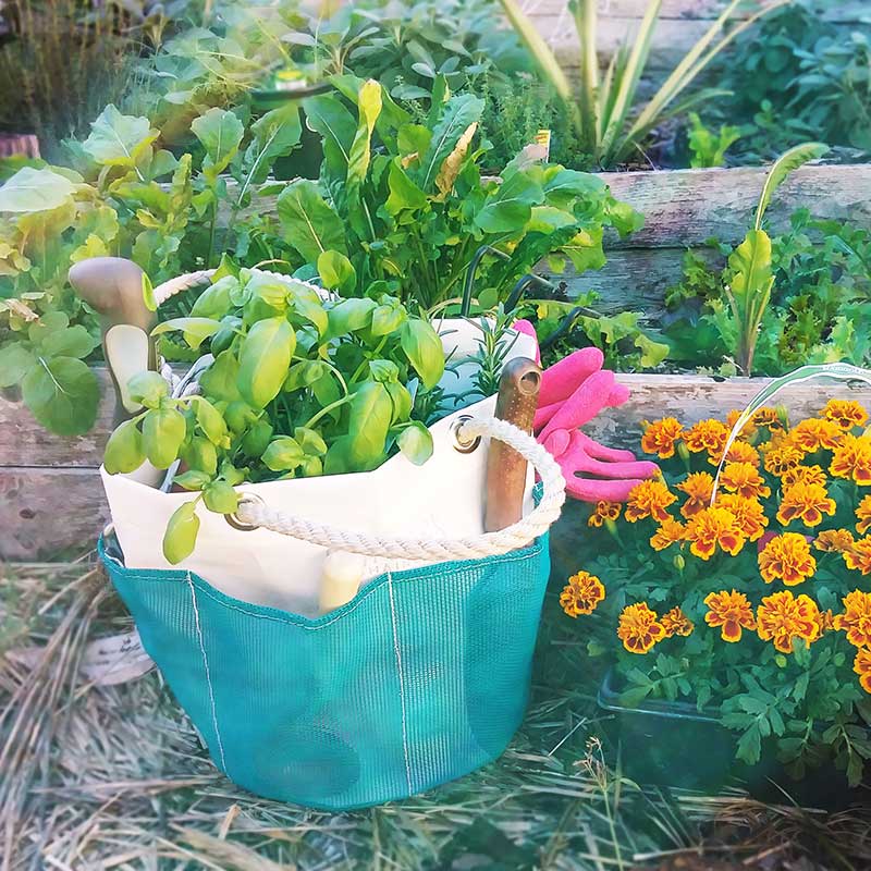 Recycled sail cloth teal gardener's bucket 