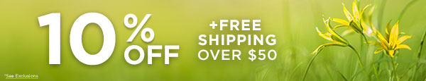 10% OFF plus Free Shipping Sitewide
