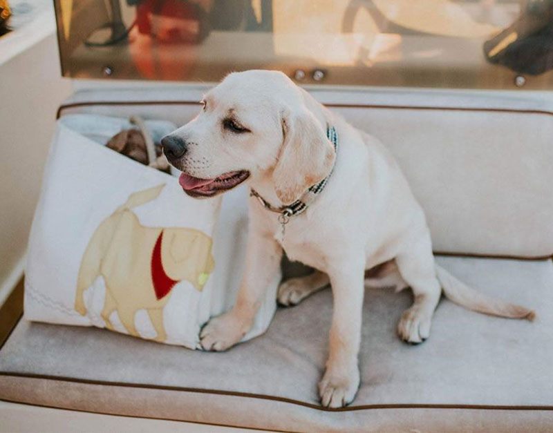 Yellow Lab Tote Made From Recycled Sails
