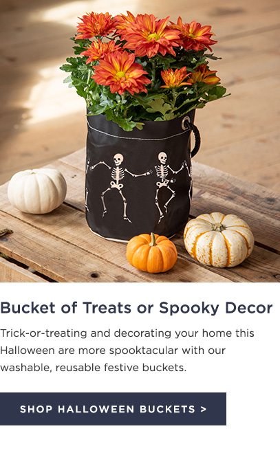 A Bucket of Treats or Spooky Decor - Shop Halloween Collection