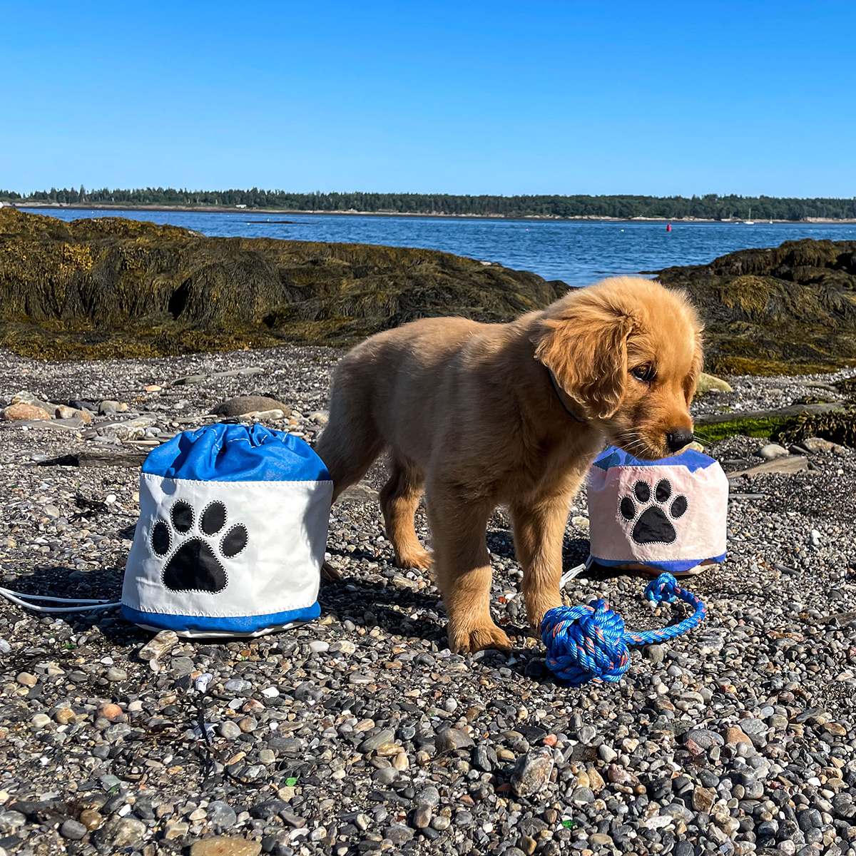 Paw Print Ditty Bag