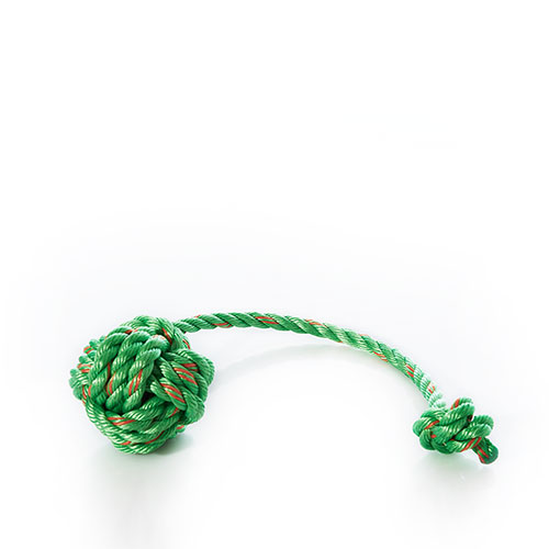 Floating Rope Dog Toy - Green