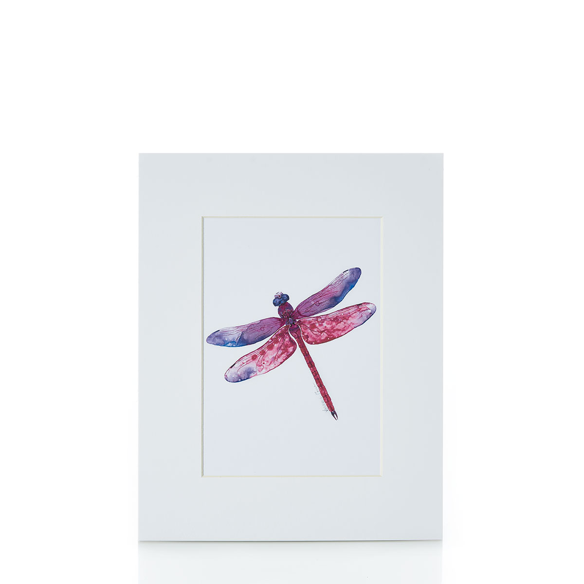 Cure Watercolor Dragonfly Matted Print