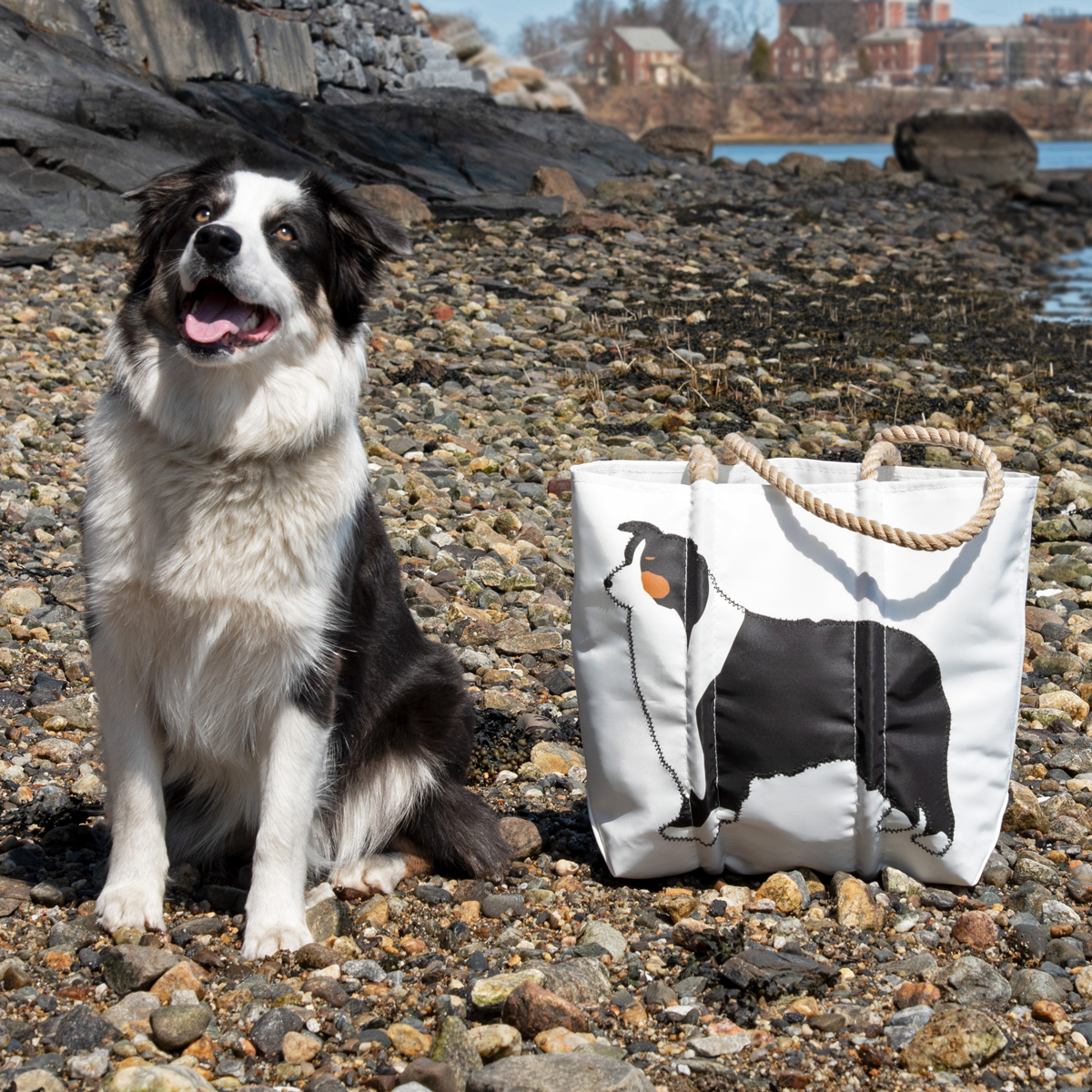 an Australian Shepard sits on a beach next to a recycled sail cloth tote with hemp rope handles and printed with a black brown and white colored Australian Shepard dog 